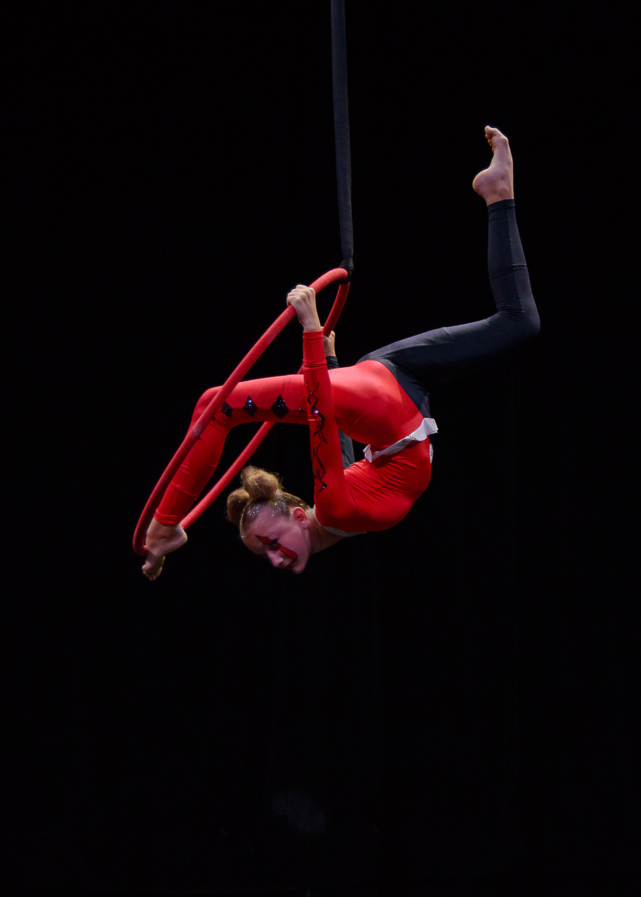 czech aerial hoop